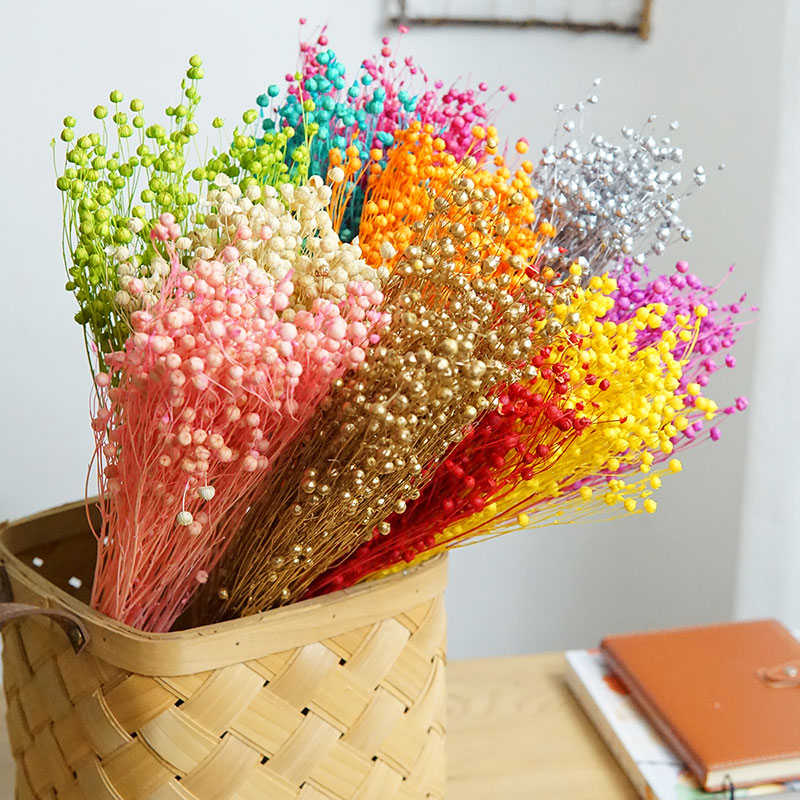35g/Preserved Ormosia Hosiei N - đánh giá và giá Dried Flower Bulk