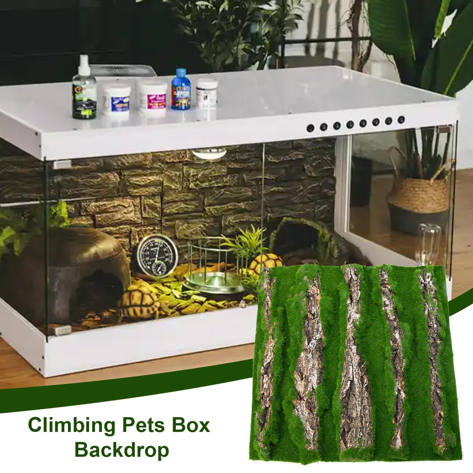 Reptile Terrarium Background D - đánh giá và giá Terrarium Moss Art