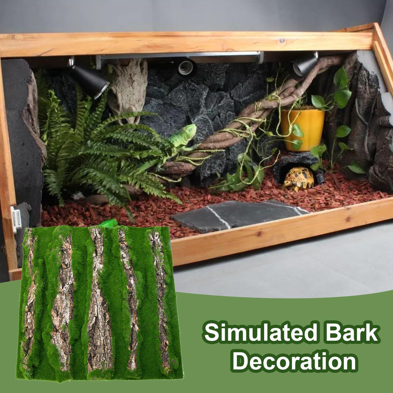 Reptile Terrarium Background D - đánh giá và giá Terrarium Moss Art