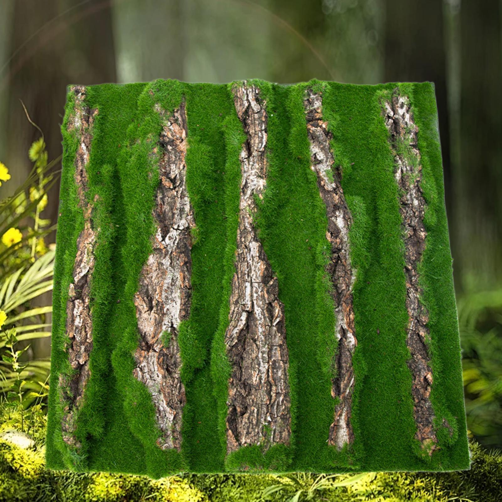 Reptile Terrarium Background D - đánh giá và giá Terrarium Moss Art