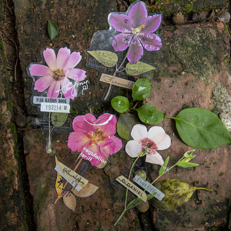 10 Pcs/Pack Corner Flower Hous - đánh giá và giá Dried Flower Bulk