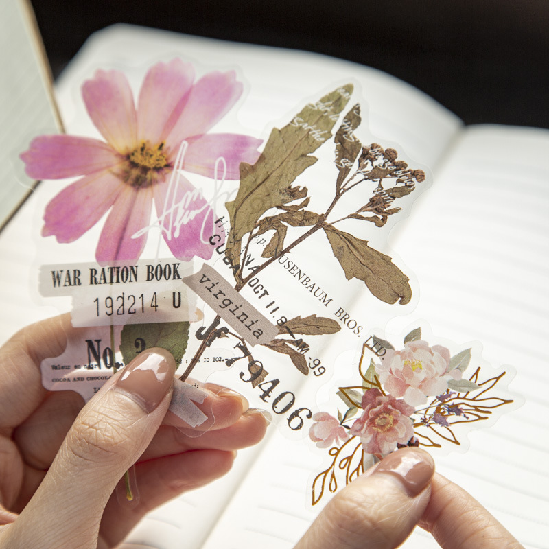 10 Pcs/Pack Corner Flower Hous - đánh giá và giá Dried Flower Bulk