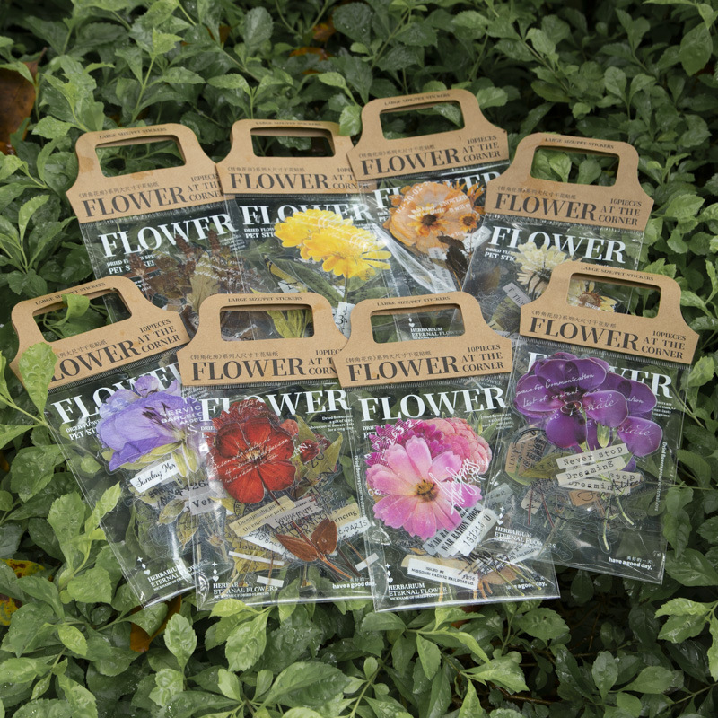10 Pcs/Pack Corner Flower Hous - đánh giá và giá Dried Flower Bulk