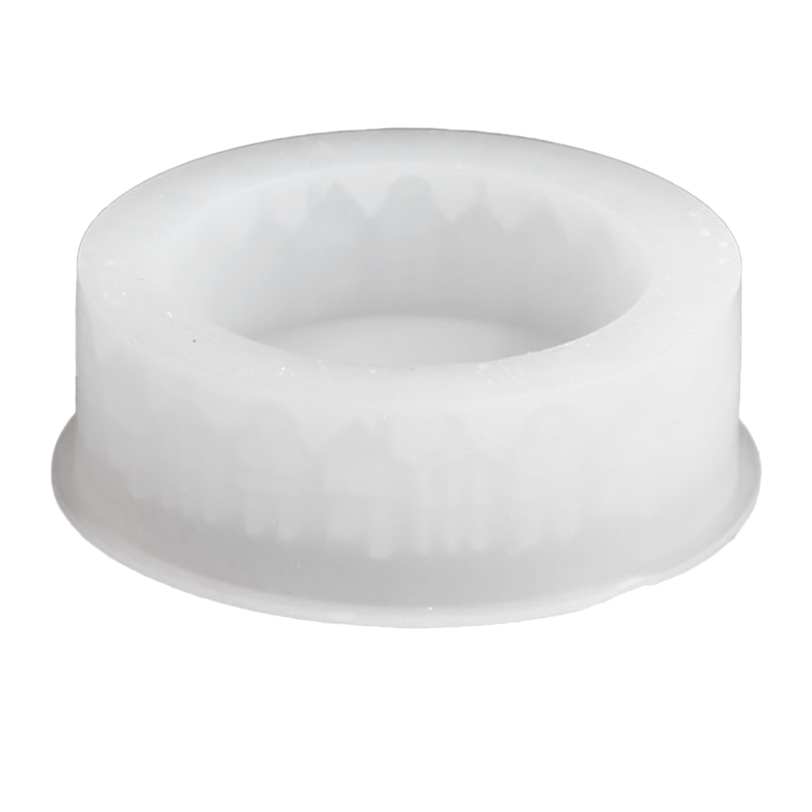 Reusable Silicone Resin Tray M - đánh giá và giá Silicone Mold Tray