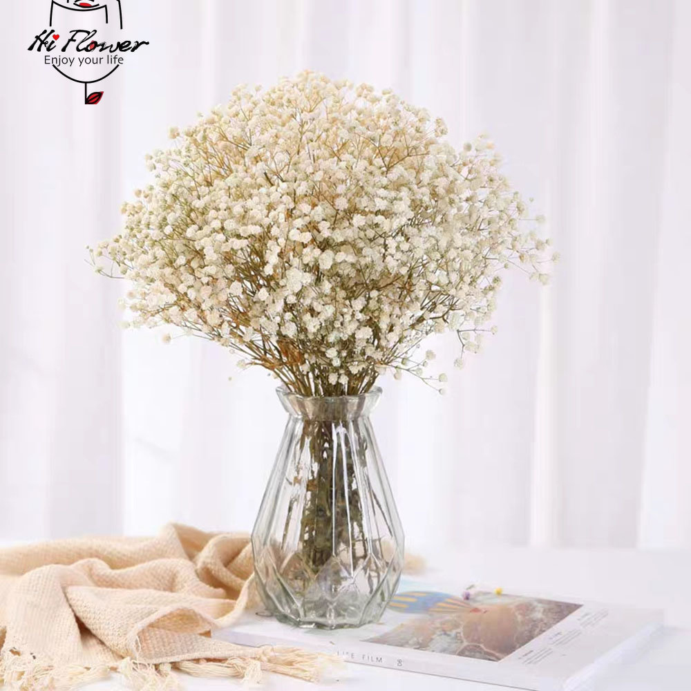 Hoa Khô Tự Nhiên Được Bảo Quản - đánh giá và giá Dried Flower Bulk