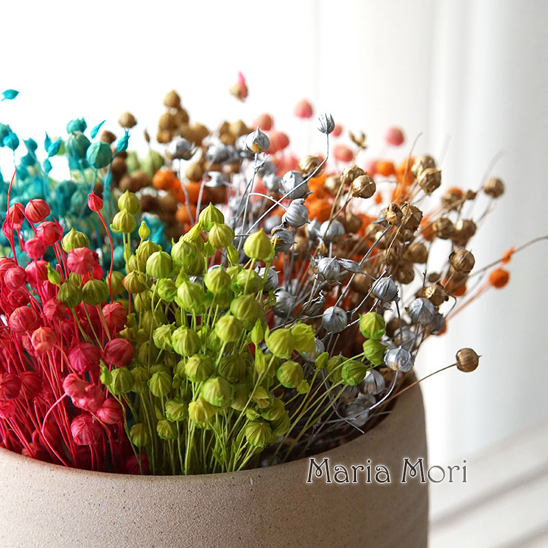 5G Bảo Quản Lanh Đậu Tự Nhiên  - đánh giá và giá Dried Flower Bulk