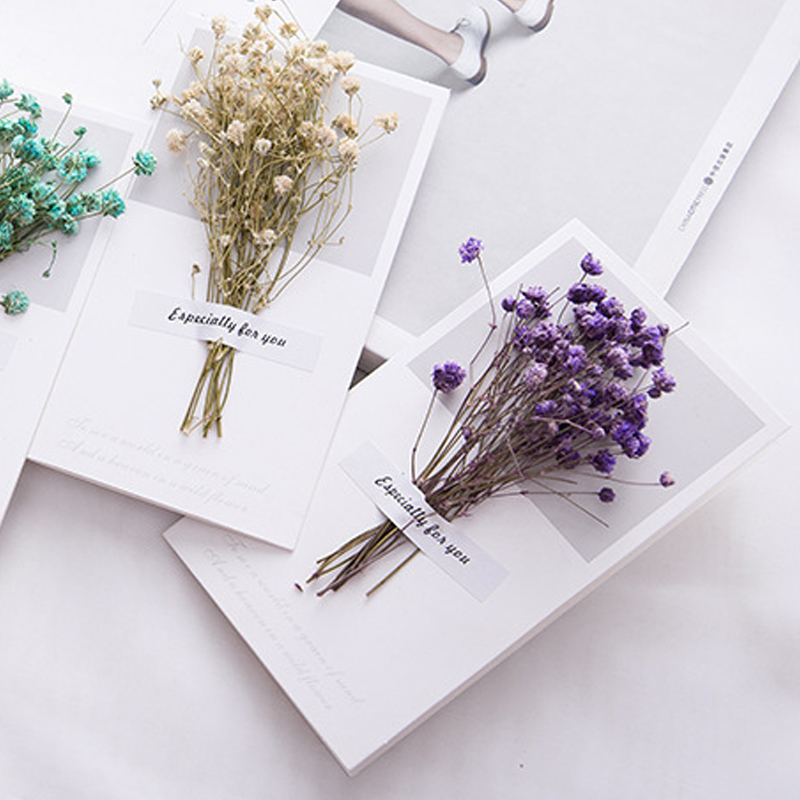 10 Chiếc Một Thẻ Cưới Thiệp Mờ - đánh giá và giá Dried Flower Bulk