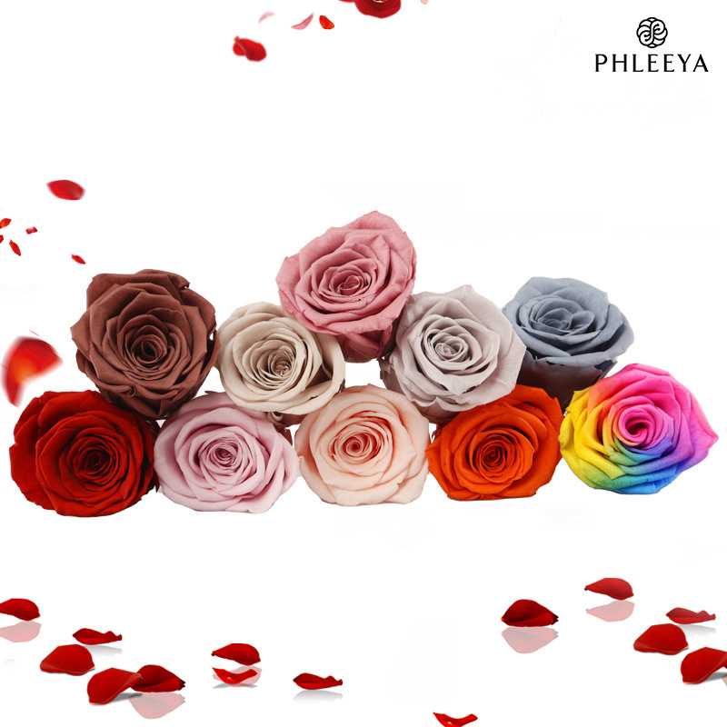 6pcs Eternal Rose Flower Heads - đánh giá và giá Dried Flower Bulk