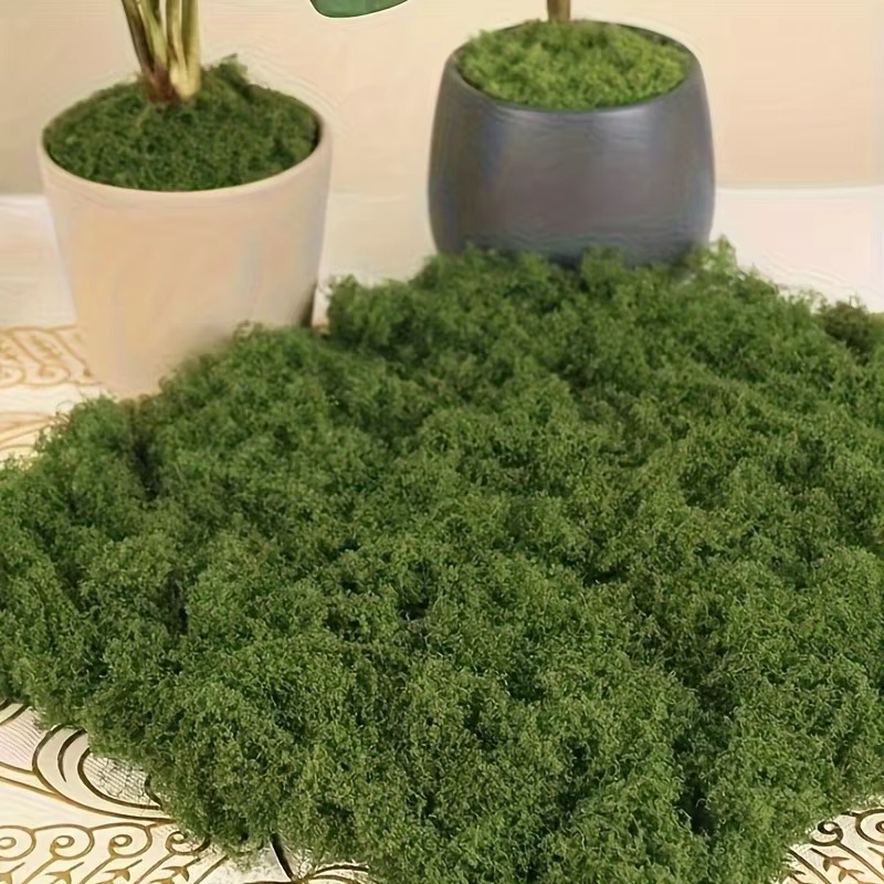 50g Green Fake Moss DIY Crafts - đánh giá và giá Terrarium Moss Art