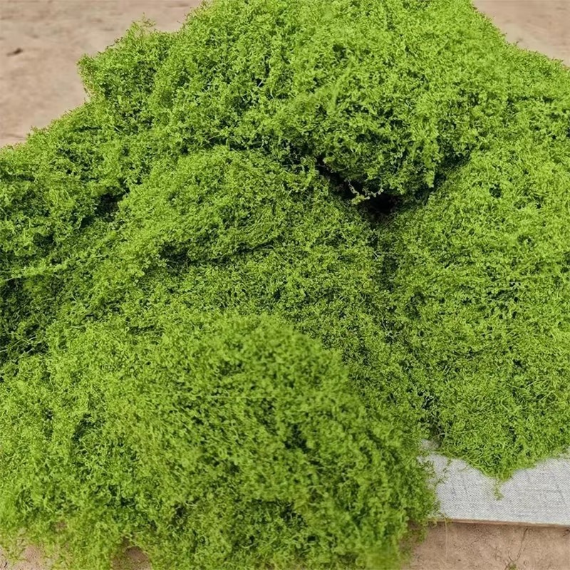 50g Green Fake Moss DIY Crafts - đánh giá và giá Terrarium Moss Art