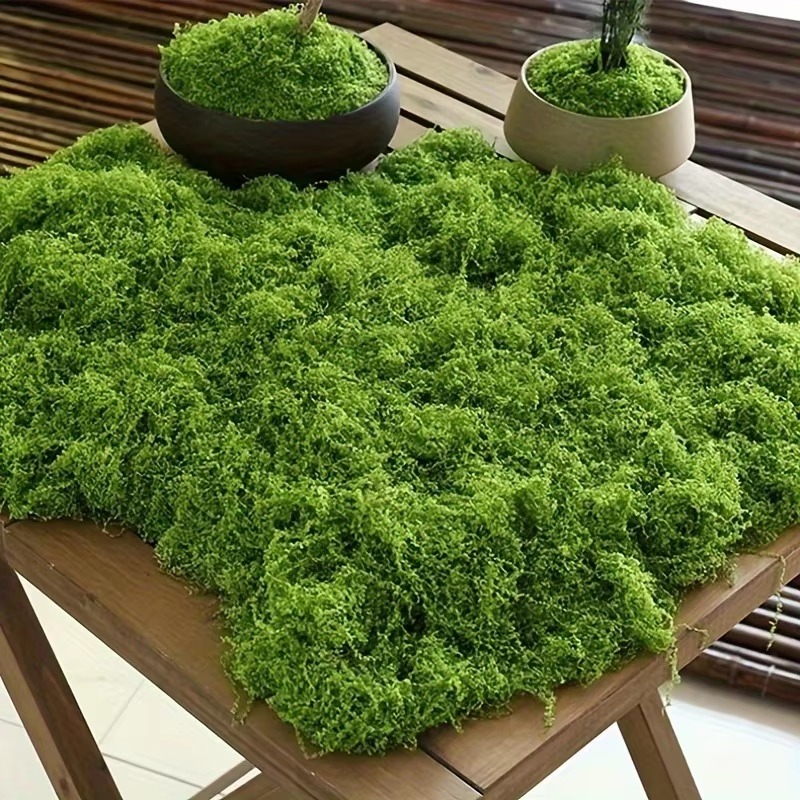 50g Green Fake Moss DIY Crafts - đánh giá và giá Terrarium Moss Art