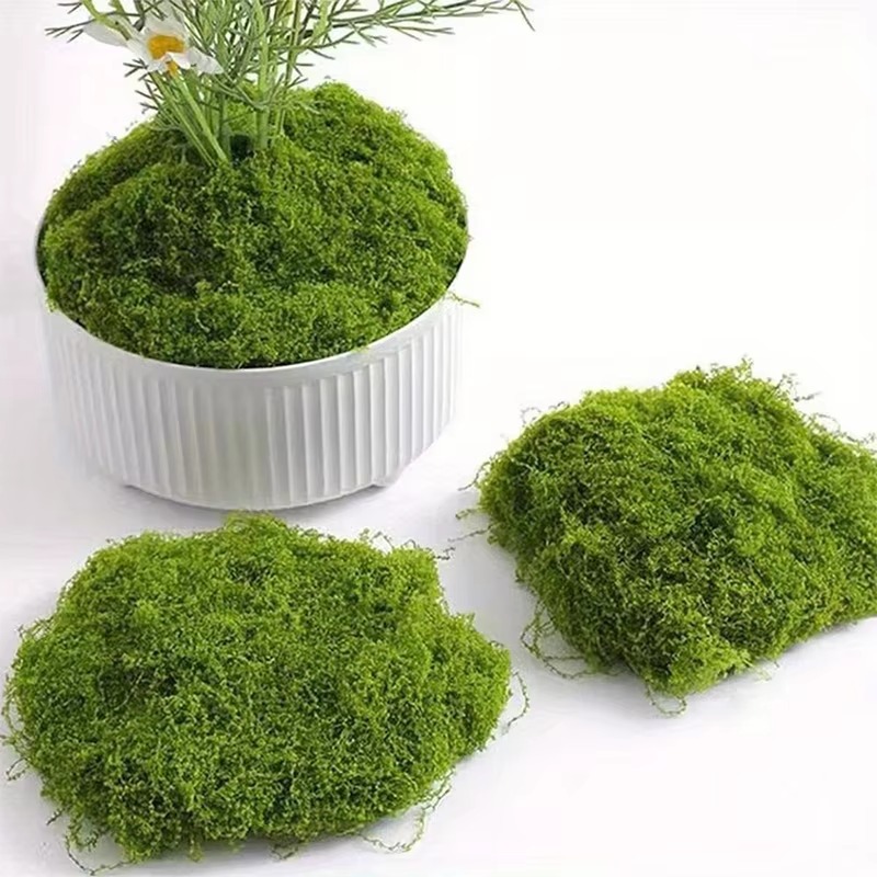 50g Green Fake Moss DIY Crafts - đánh giá và giá Terrarium Moss Art