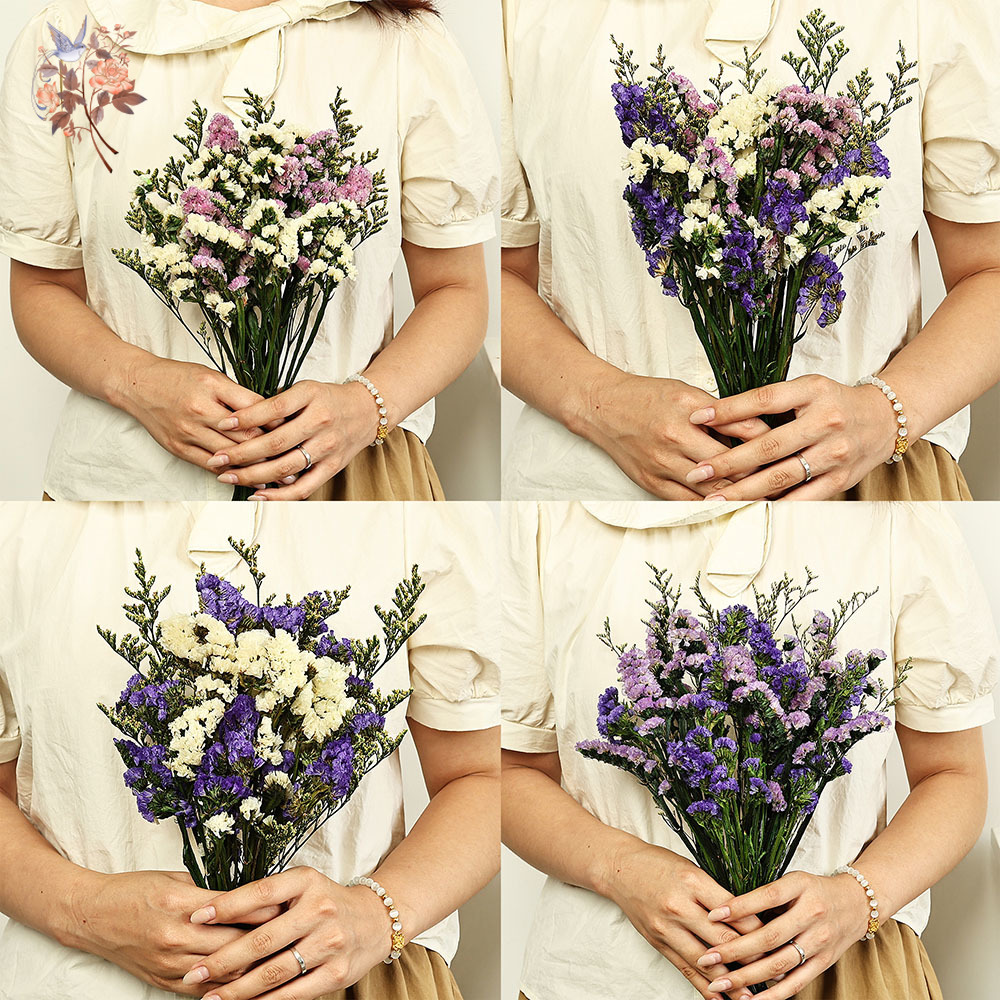100g Natural Real Forget-me-no - đánh giá và giá Dried Flower Bulk